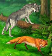 Лиса И Волк