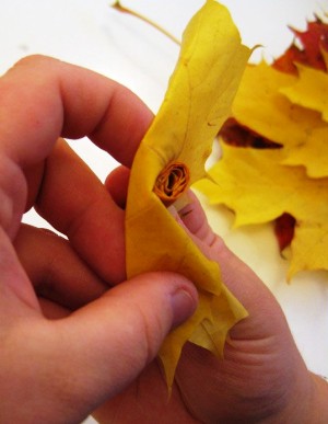 Как сделать розочки из кленовых листьев